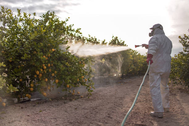 Best Pest Control for Restaurants  in Doylestown, OH