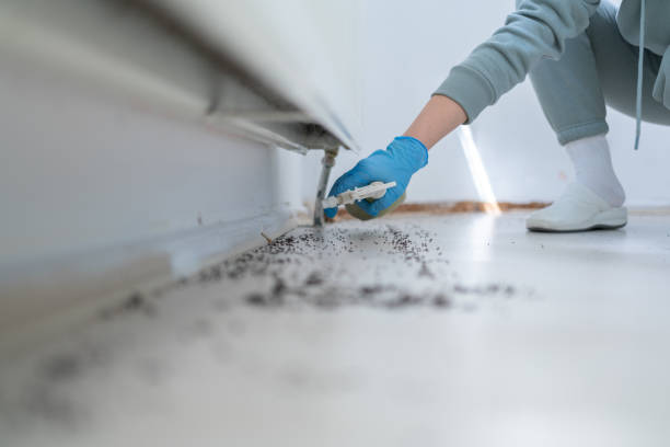 Best Wildlife Control Services  in Doylestown, OH
